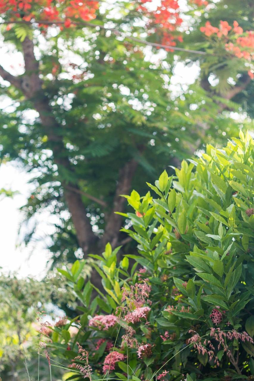 Pousada Solar Tropical Сакуарема Екстер'єр фото